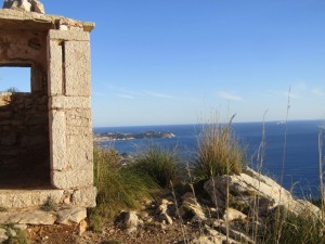 IMG_3718 (Medium)